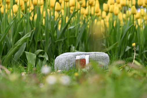 A meditation pillow in grass with yellow tuliups in the background. High quality photo